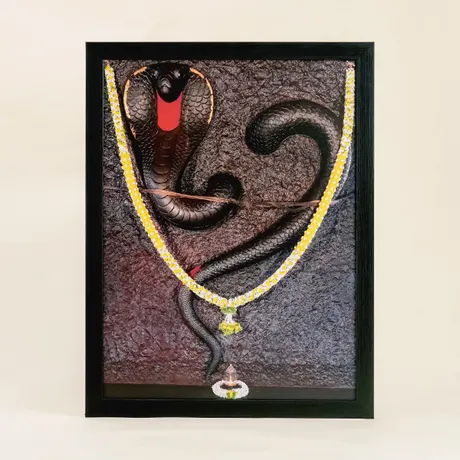 Naga Consecration at Bengaluru
